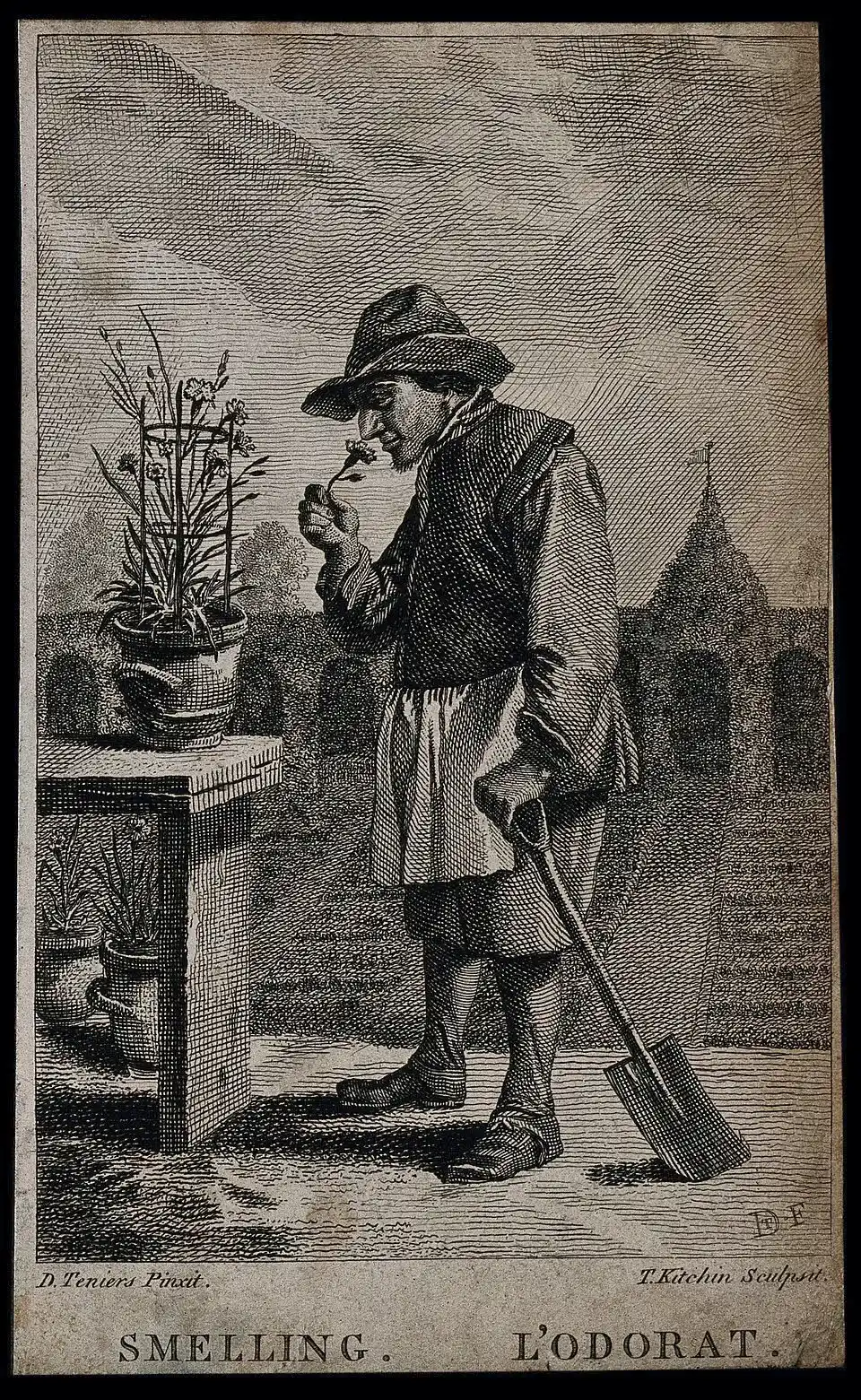 David Teniers the Younger, Public domain, via Wikimedia Commons